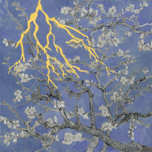 xxxx黄片免费收看
